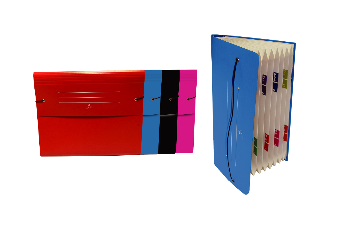 04.CARPETA FUELLE ACORDEON 12 BOLSAS CARTON IMPRESO 500 gr. CON CIERRE GOMA PLASTIFICDO MATE