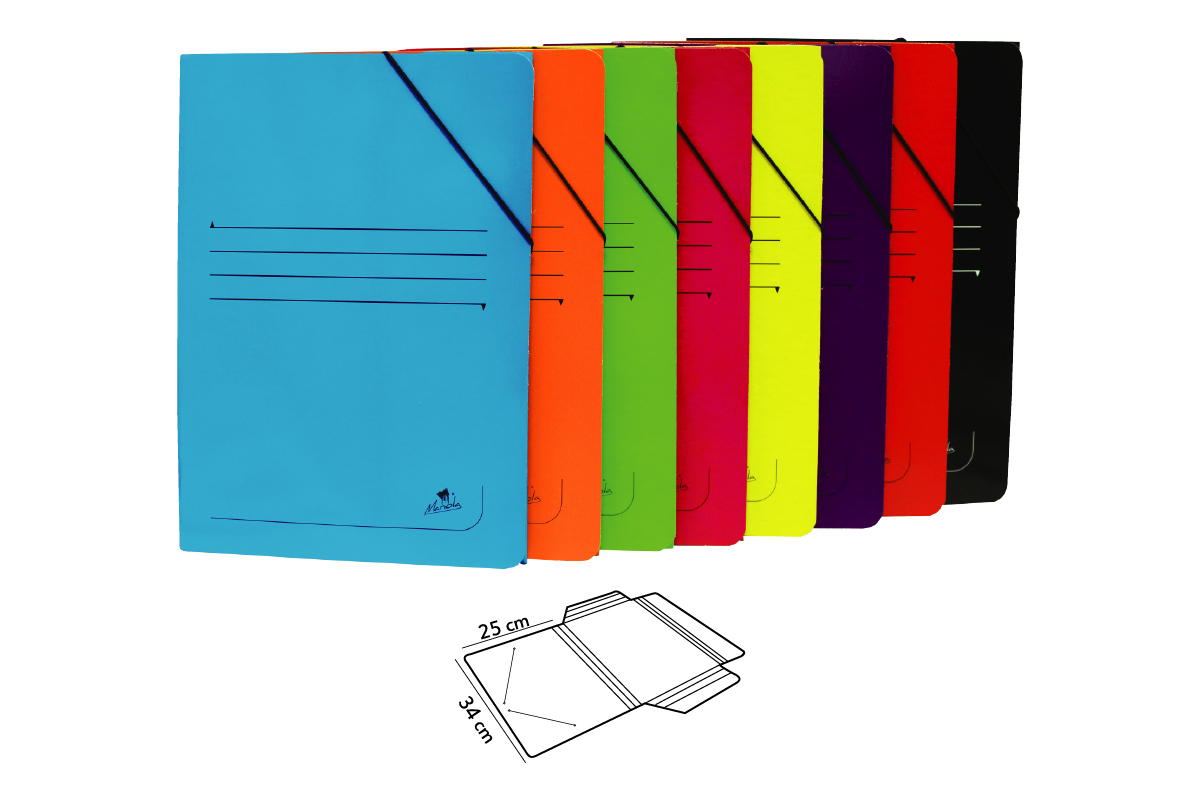 07.CARPETA COLOR CARTON PLASTIFICADO BRILLO 500 gr.