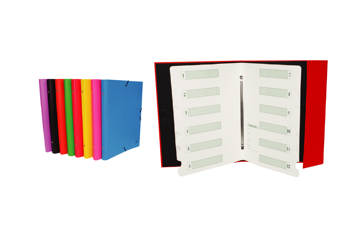 08.CARPETA CLASIFICADORA CARTON FORRADO PLASTIFICADO MATE INTERIOR DE CARTULINA 12 SEPARADORES