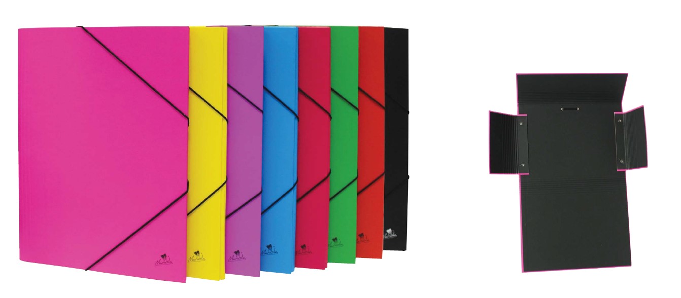 4786 CARPETA GOMA Y SOLAPAS PLASTIFICADO MATE