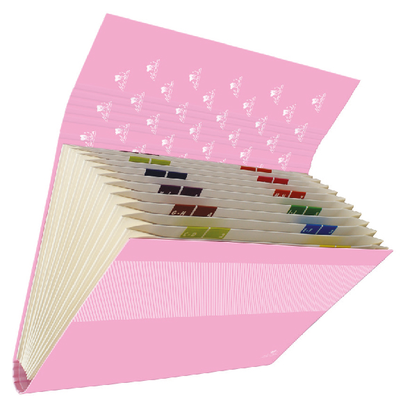 CARPETA FUELLE CON SOLAPA ACORDEON 12 BOLSAS CARTON FORRADO EN PAPEL PASTEL PLASTIFICADO MATE CIERRE GOMA ANCHA