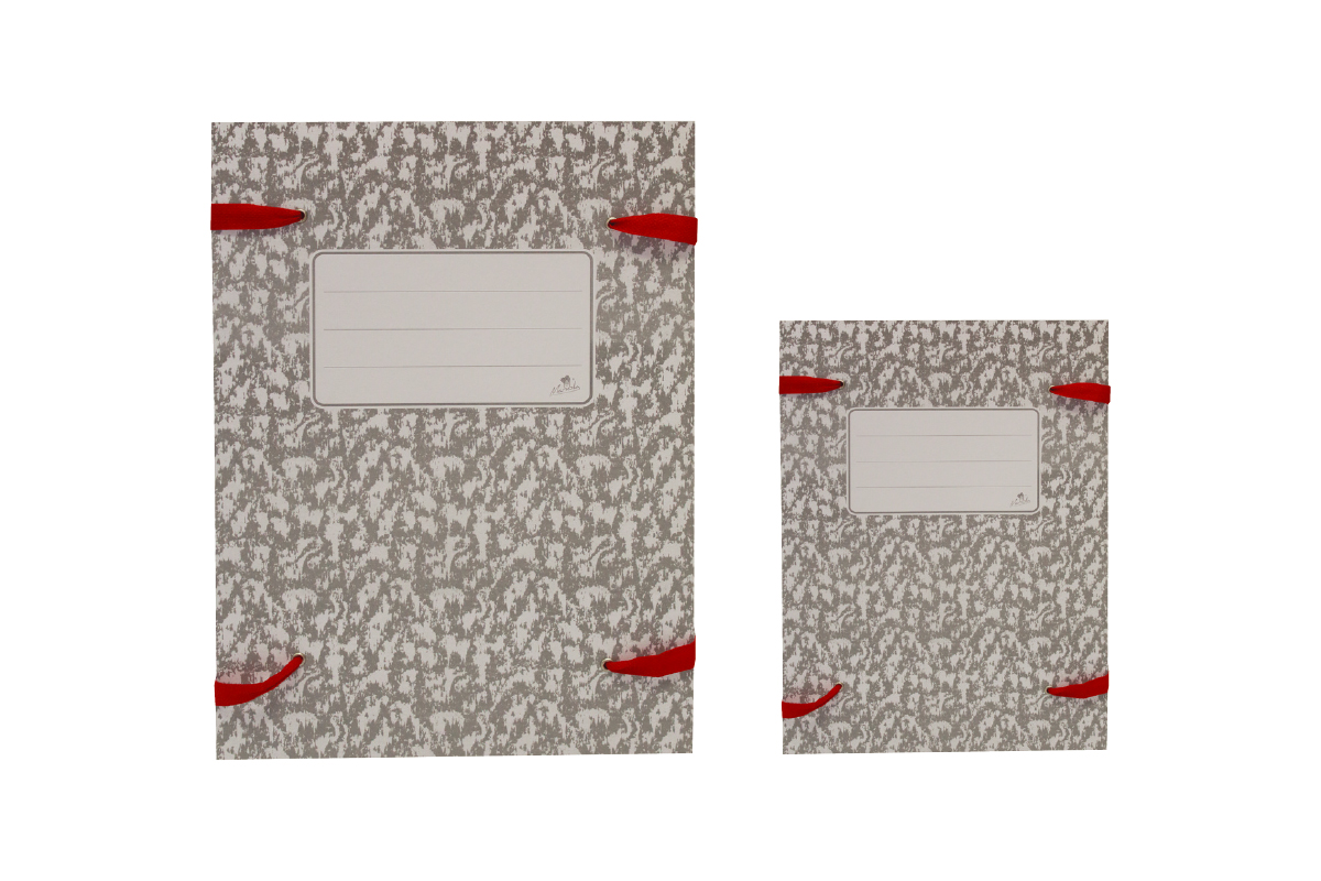 05.0.CARPETA DE LEGAJO CARTON JASPEADO