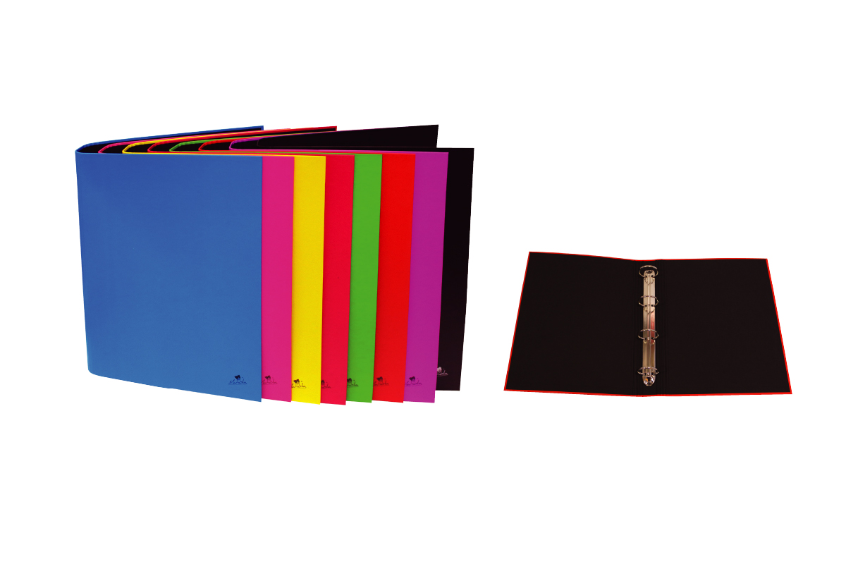 07.CARPETA ANILLAS CARTON FORRADO PLASTIFICADO MATE