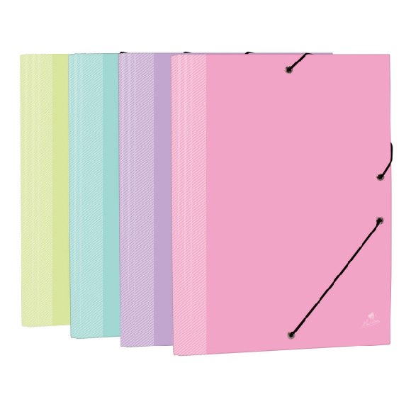 EXPOSITOR CON 24 CARPETAS COMA Y SOLAPA CARTON FORRADO EN PAPEL PASTEL CPM LOMO RAYADO PLASTIFICADO MATE