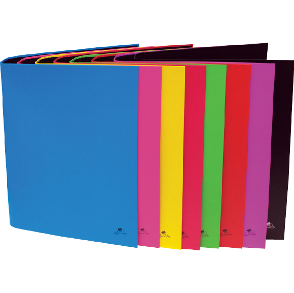 EXPOSITOR CON CARPETAS ANILLAS CARTON FORRADO PLASTIFICADO MATE