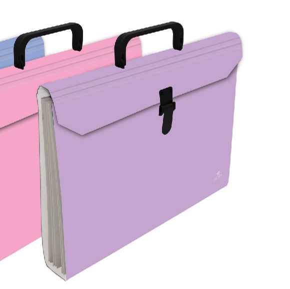 MALETIN FUELLE ACORDEON 6 BOLSAS CARTON IMPRESO 500GR PLASTIFICADO MATE CON ASA Y CIERRE DE PVC